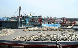 Kapal ikan di Belawan, Sumatra Utara tanpa dokumen kapal
