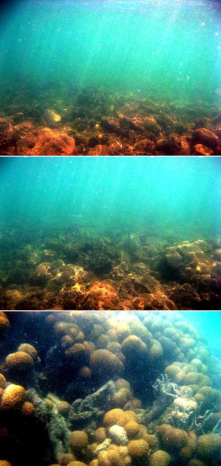 Terumbu karang Pantai Penyusuk yang rusak, Bangka (2008)
